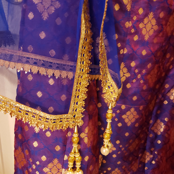 Gorgeous Lehenga - Picture 7 of 8